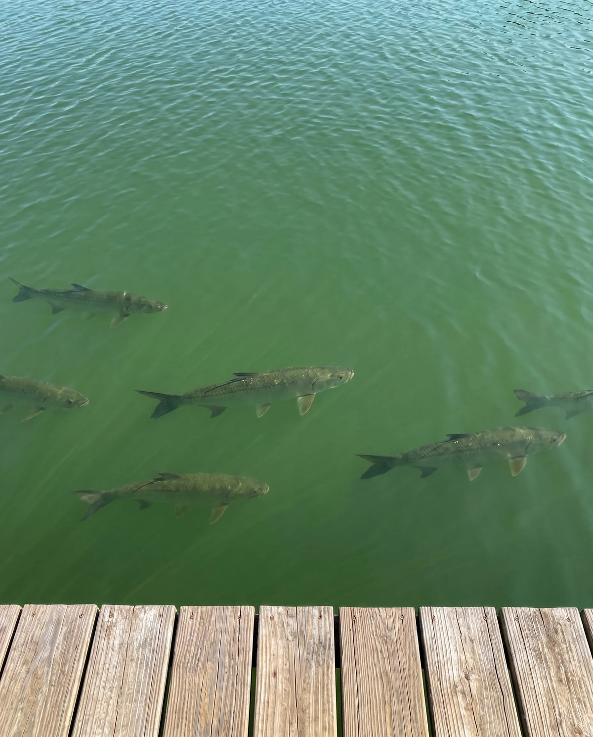 Off the dock – With PREYSIGHT