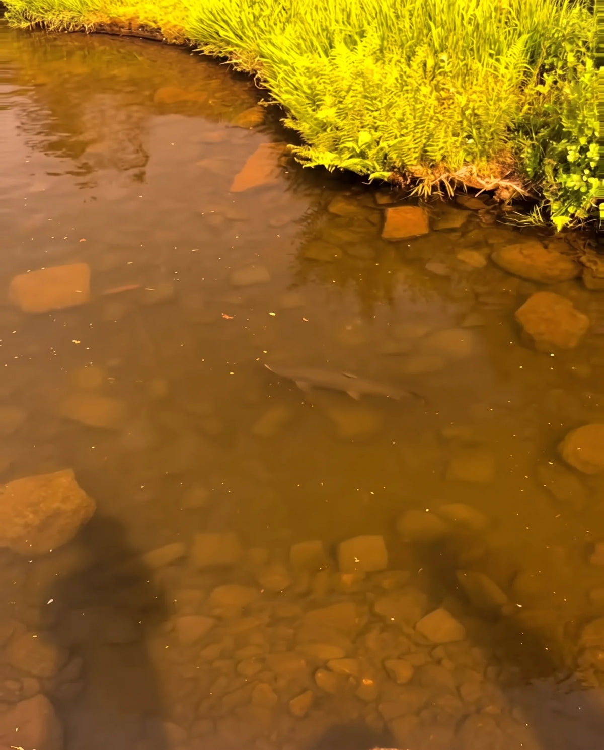 Grass bank – With PREYSIGHT