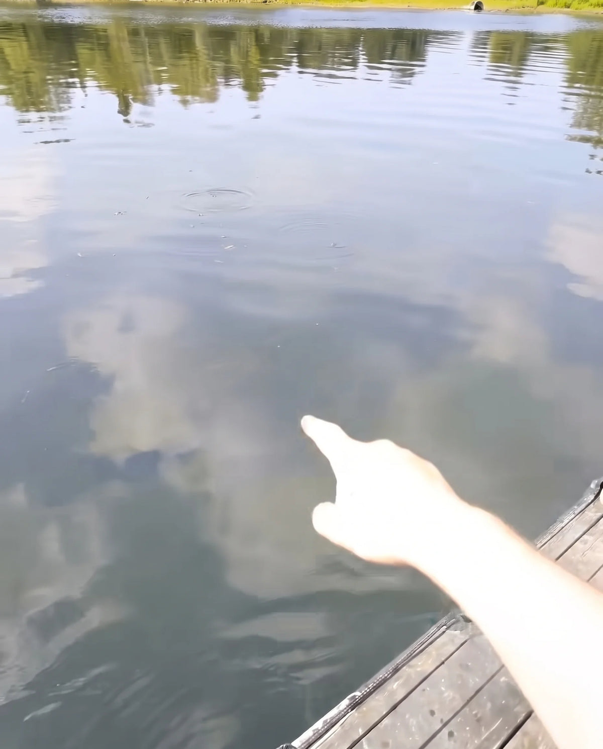 Under the dock – Without