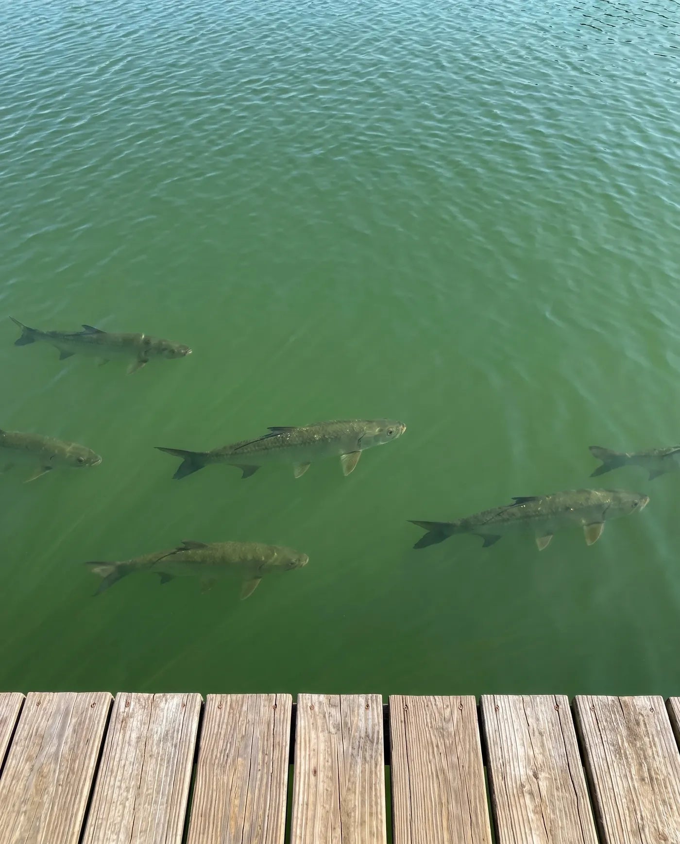 Off the dock – With PREYSIGHT