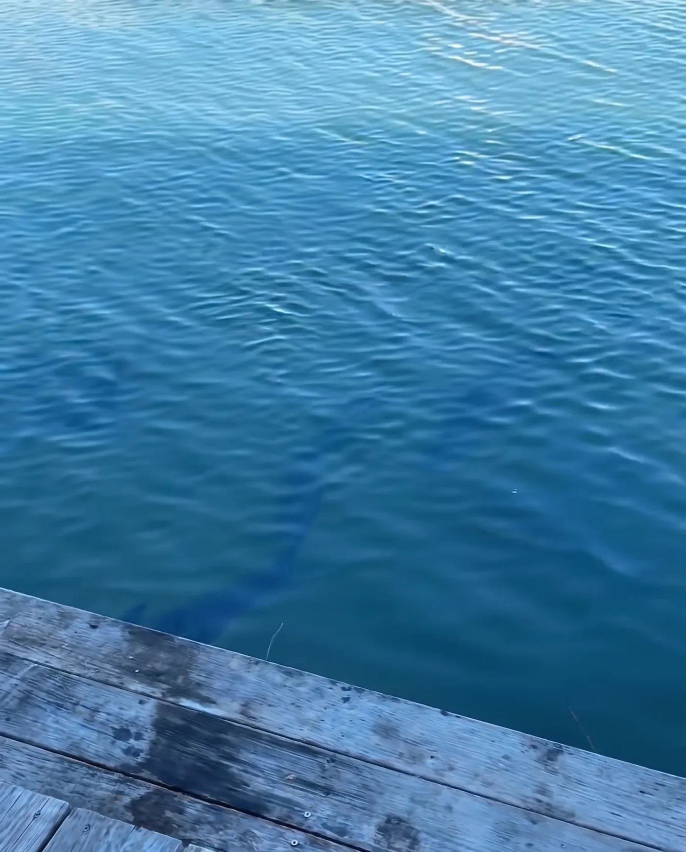 Off the dock – Without